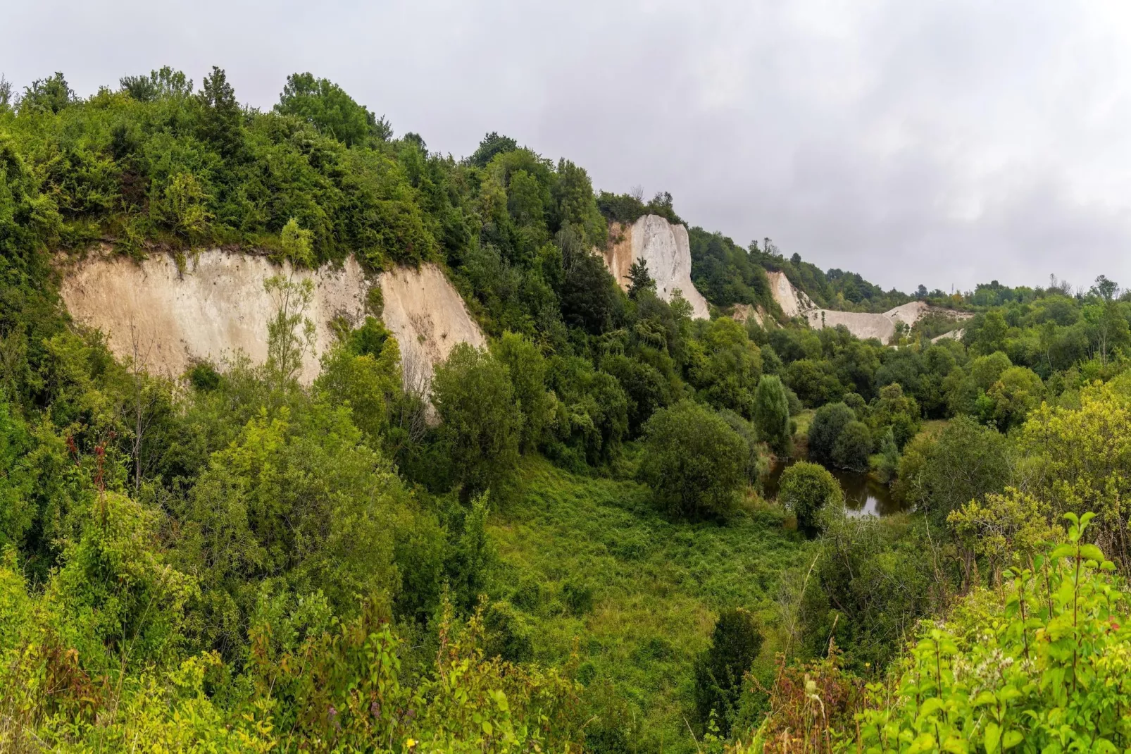 Rugen Manor Junior Suite-Gebieden zomer 20km