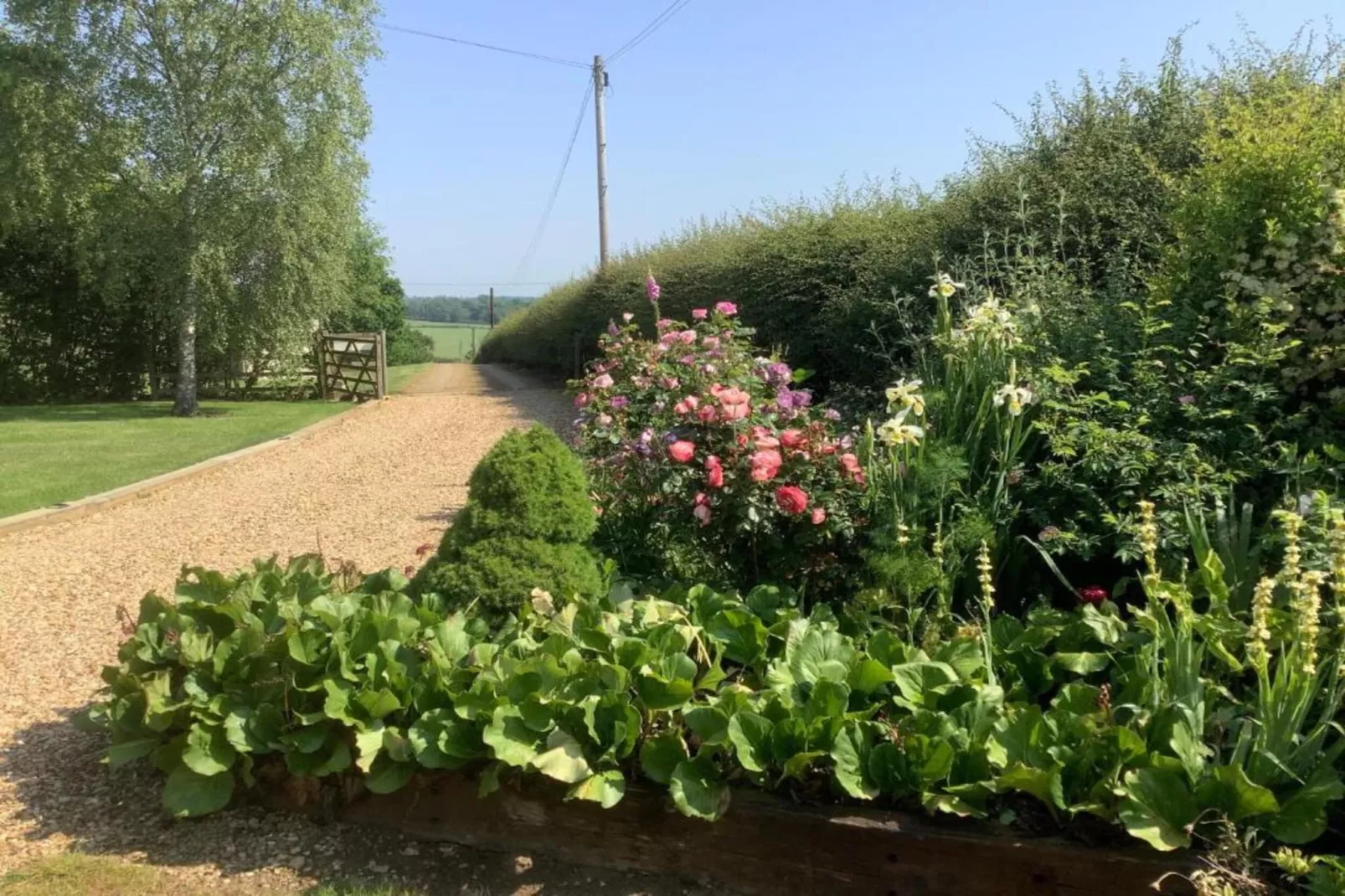 The Sett - Gebieden zomer 20km