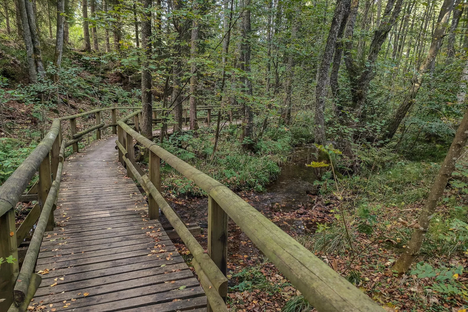 Friedas Ferienhaus Olsberg-Gebieden zomer 20km