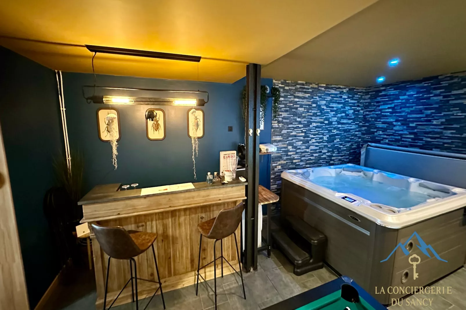 La Comète - Le Mont Dore 3*- SPA-Faciliteiten