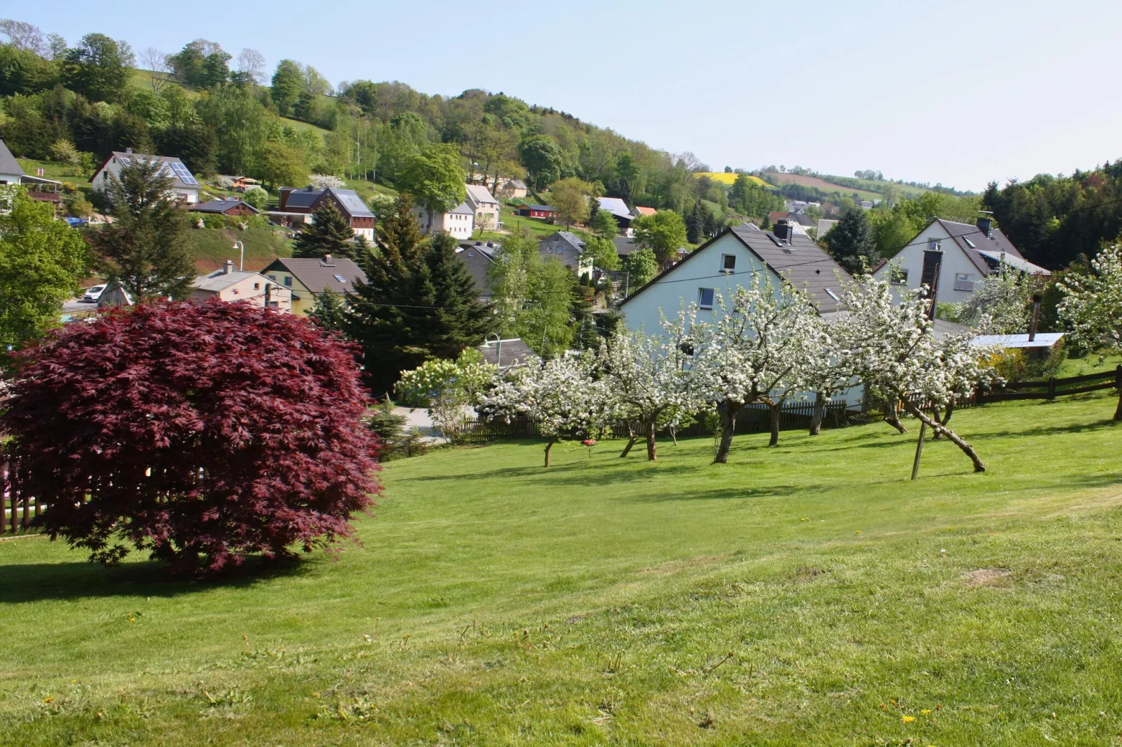Haus De Kleene & Gruusse - Uitzicht zomer
