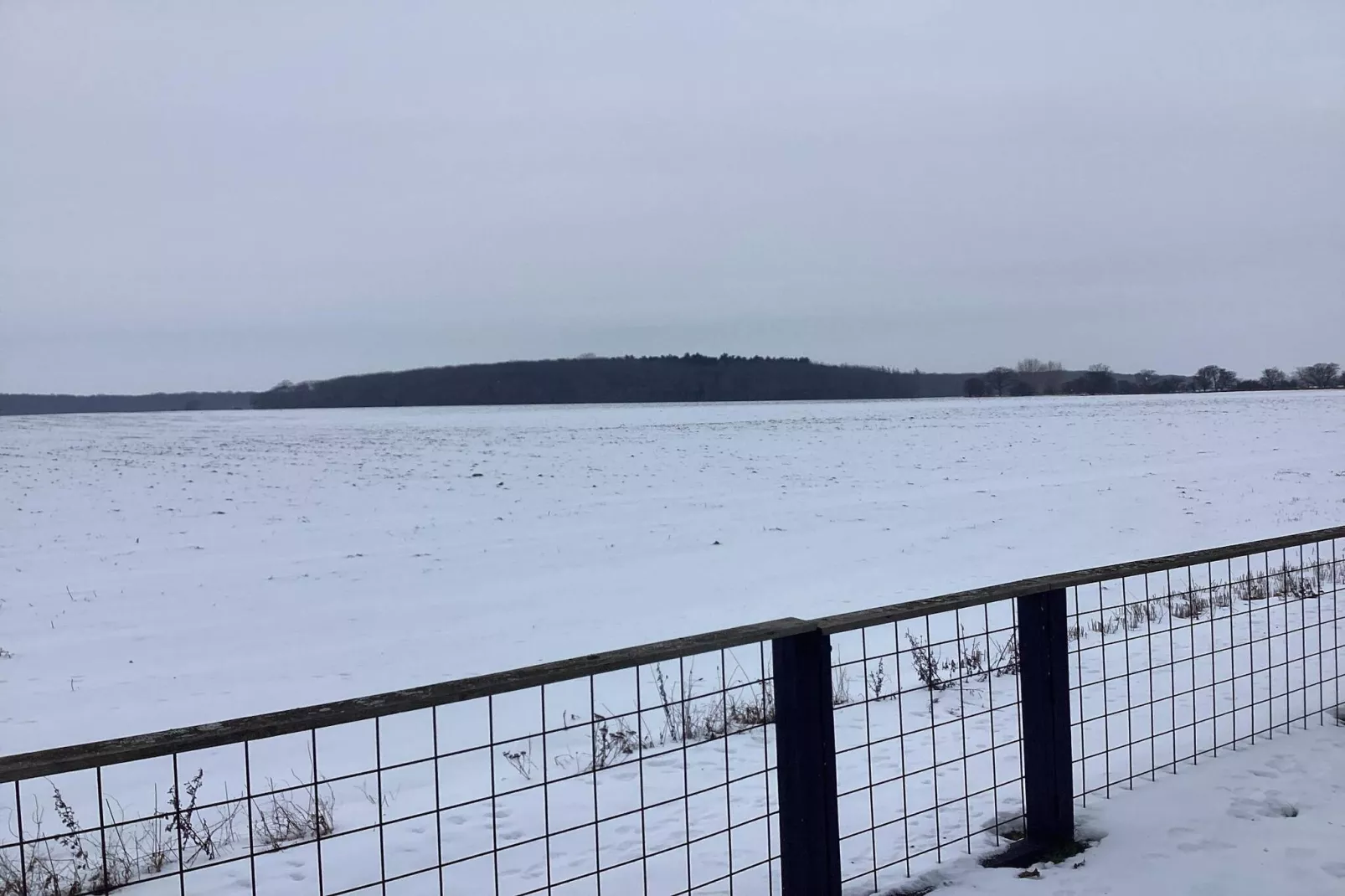 6 Personen vakantie huis in Dannemare