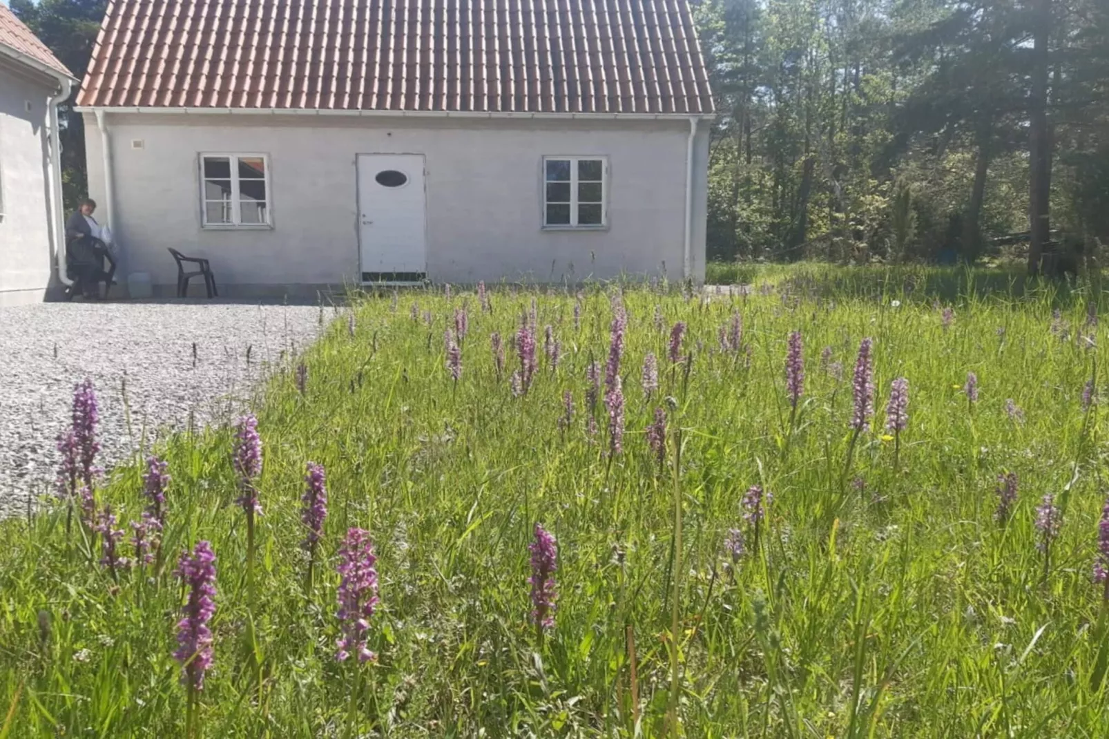 5 sterren vakantie huis in Lärbro