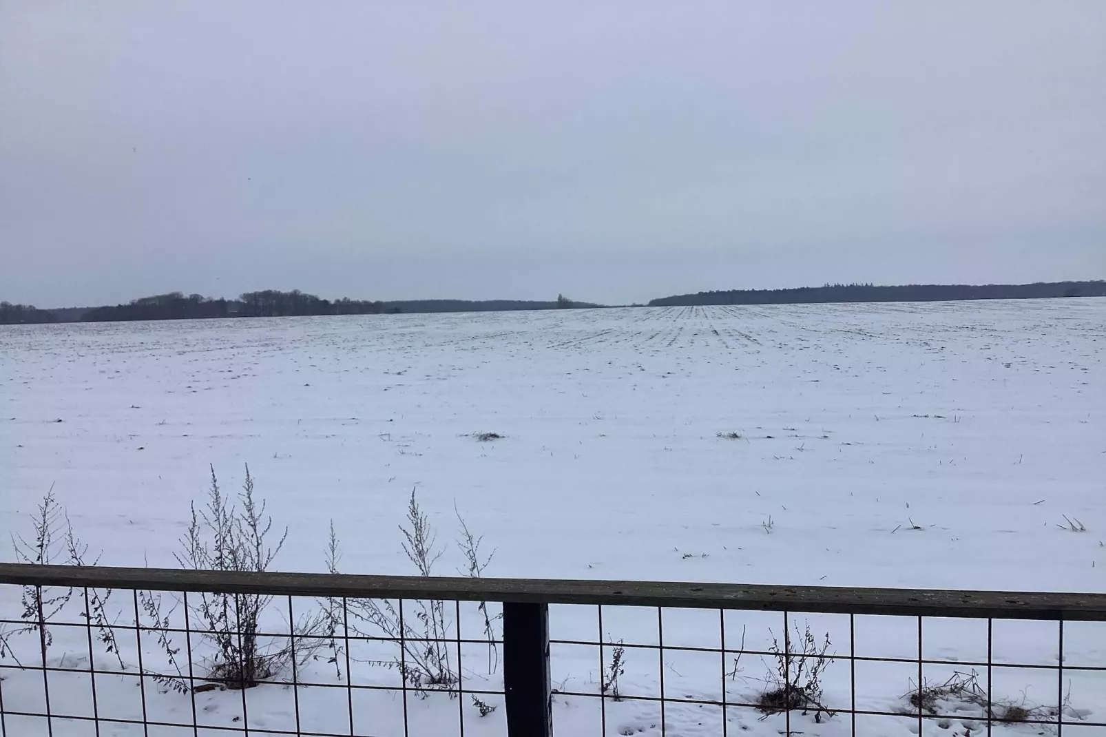 6 Personen vakantie huis in Dannemare-Buitenlucht