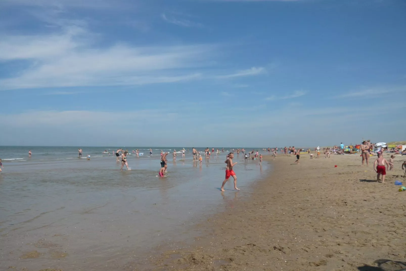 Campanula 56 - Gebieden zomer 5km