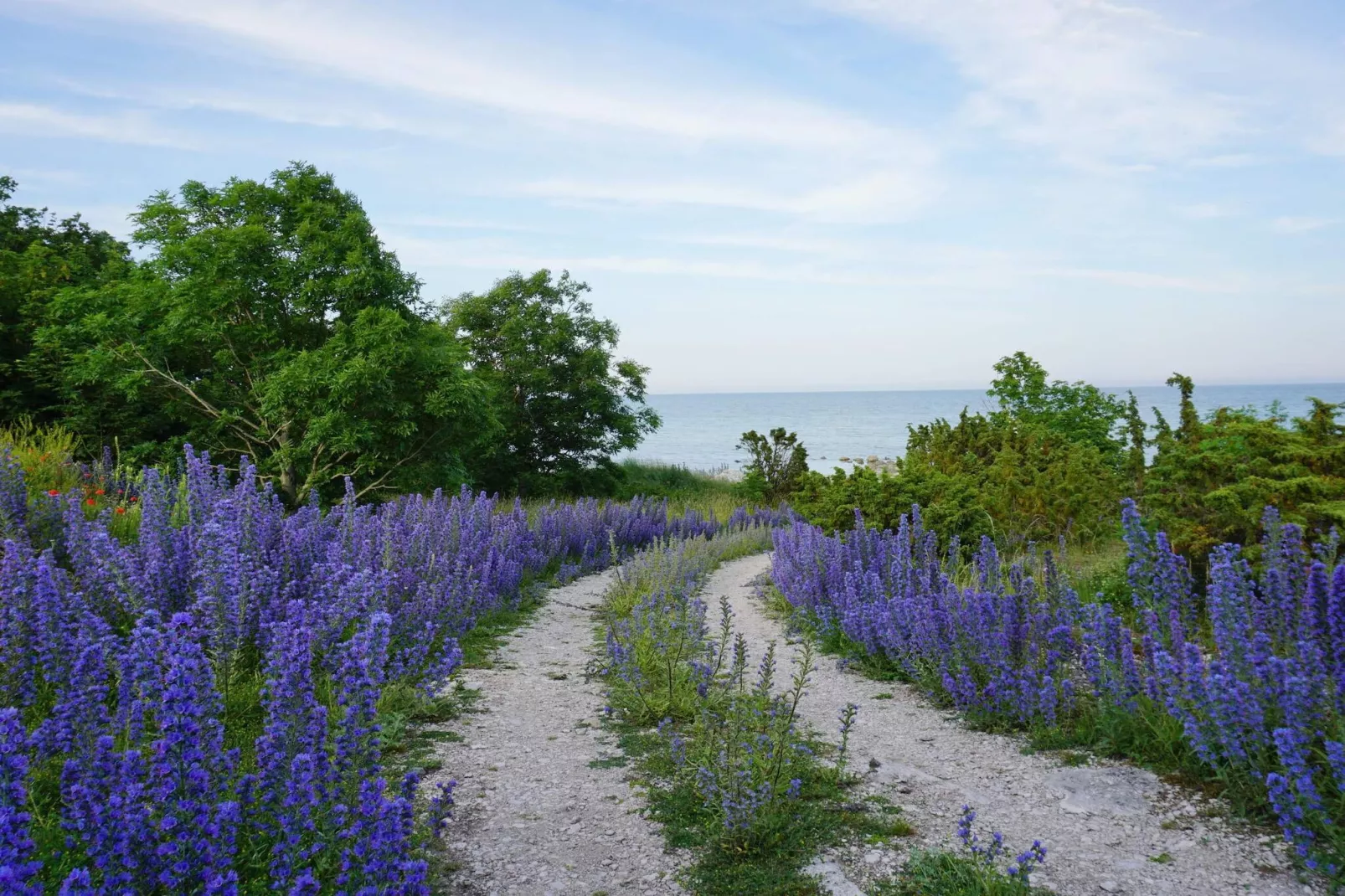 5 sterren vakantie huis in Lärbro-Niet-getagd