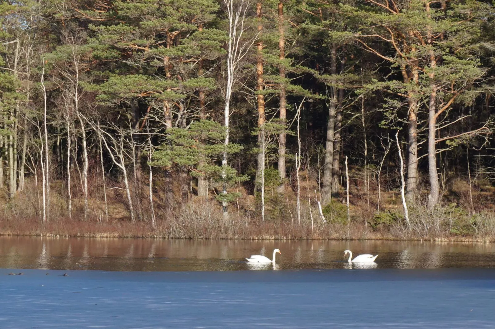4 Personen vakantie huis in HÄLLEVADSHOLM-Niet-getagd