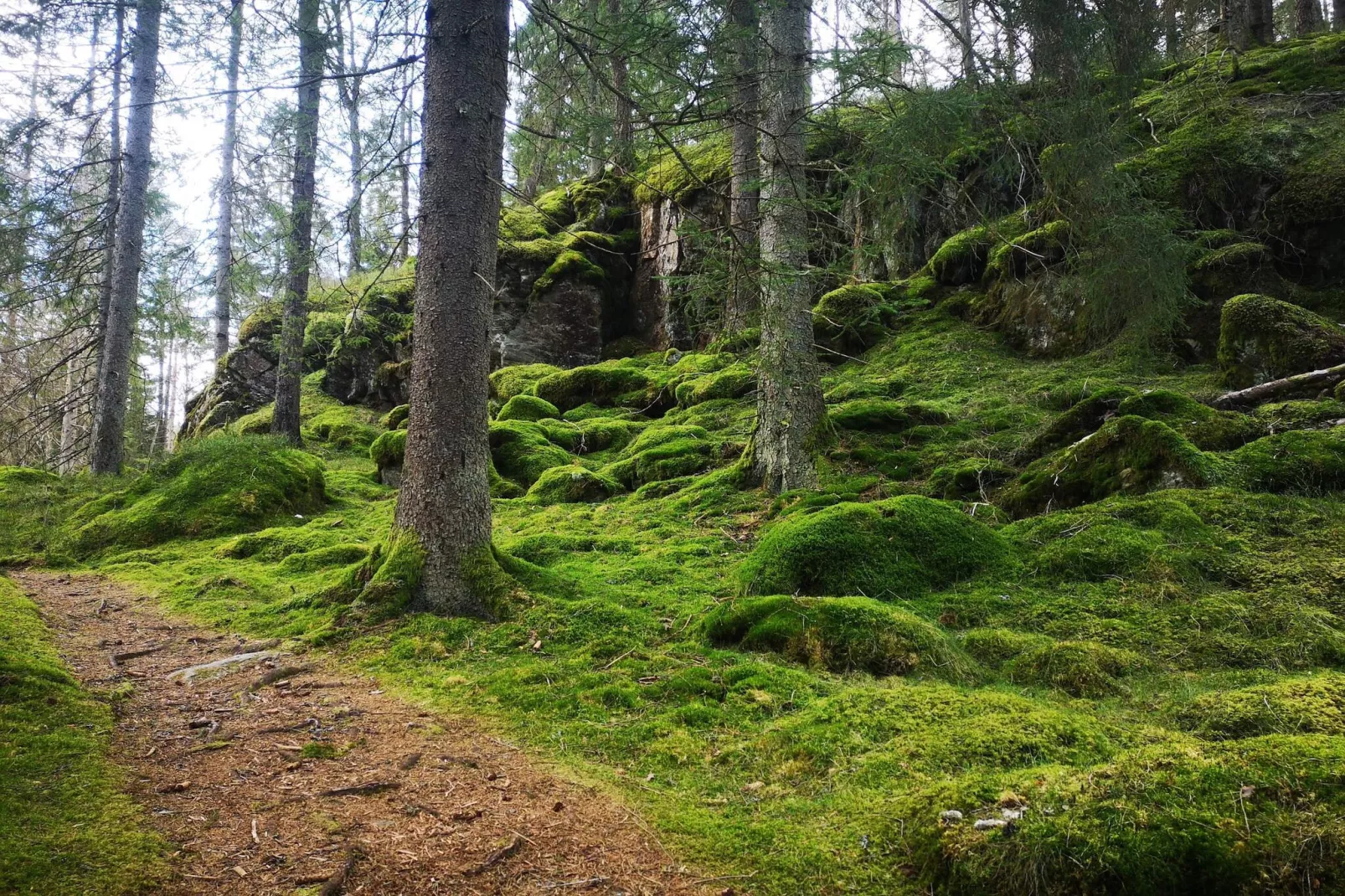 4 Personen vakantie huis in HÄLLEVADSHOLM-Niet-getagd