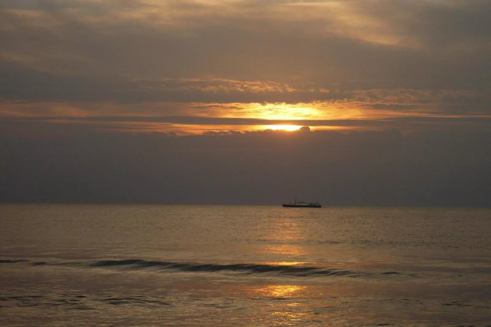 Campanula 56 - Gebieden zomer 5km
