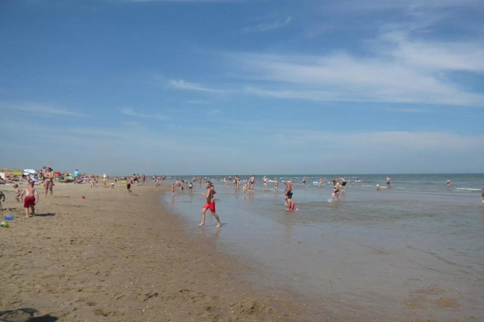 Campanula 56 - Gebieden zomer 5km