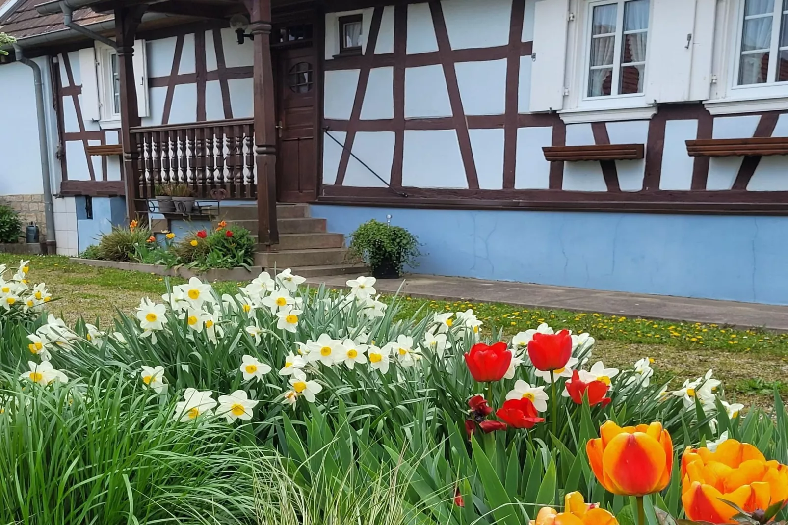 Maison de vacances - SCHLEITHAL - Buitenkant zomer