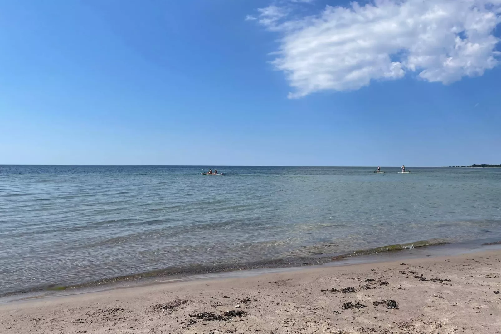 5 sterren vakantie huis in Gotlands Tofta