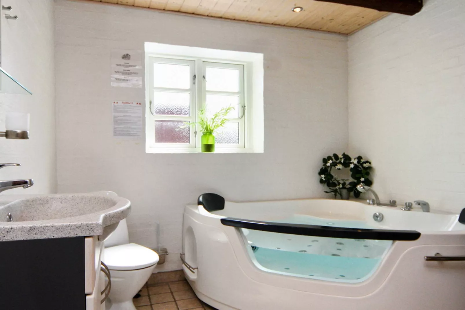 8 persoons vakantie huis in Hemmet