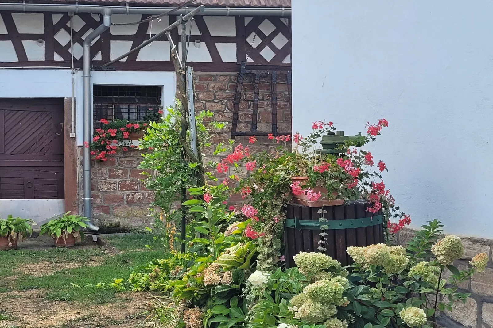 Maison de vacances - SCHLEITHAL - Tuinen zomer