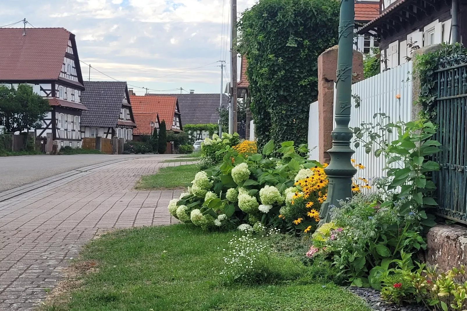 Maison de vacances - SCHLEITHAL - Gebieden zomer 1km