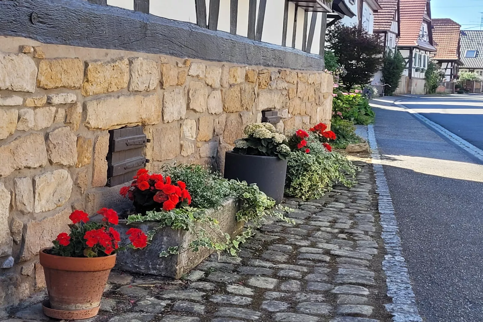 Maison de vacances - SCHLEITHAL - Gebieden zomer 1km