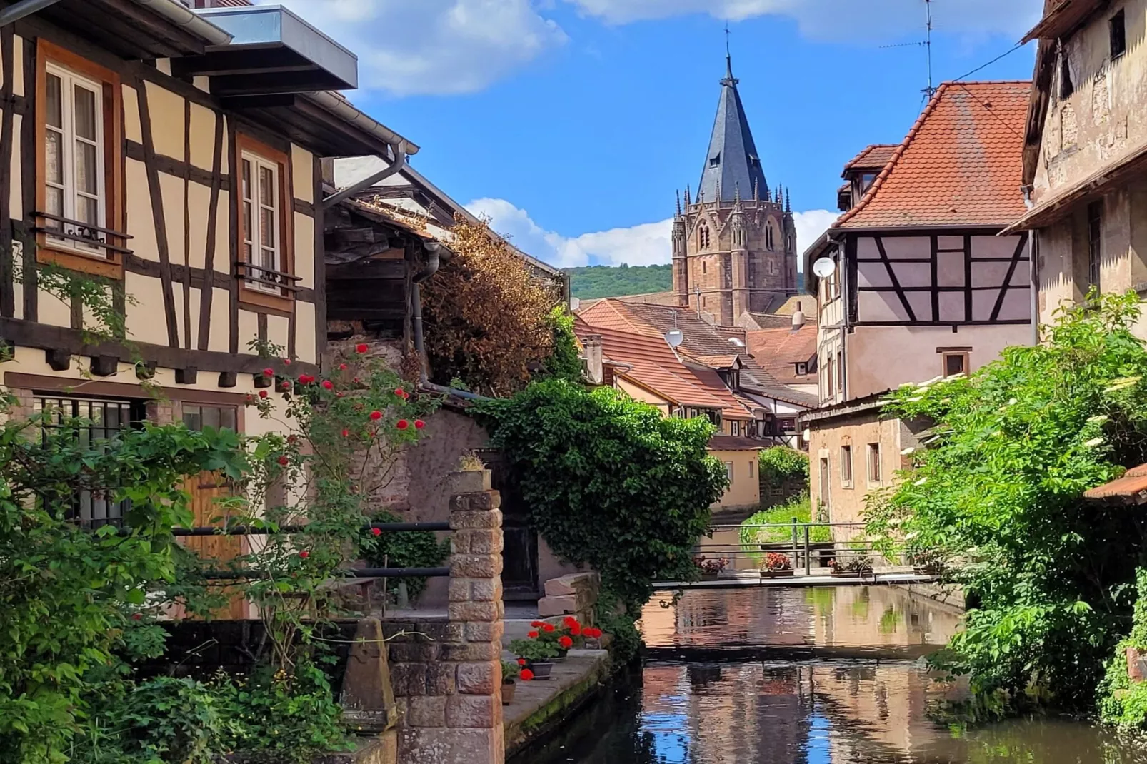 Maison de vacances - SCHLEITHAL - Gebieden zomer 1km