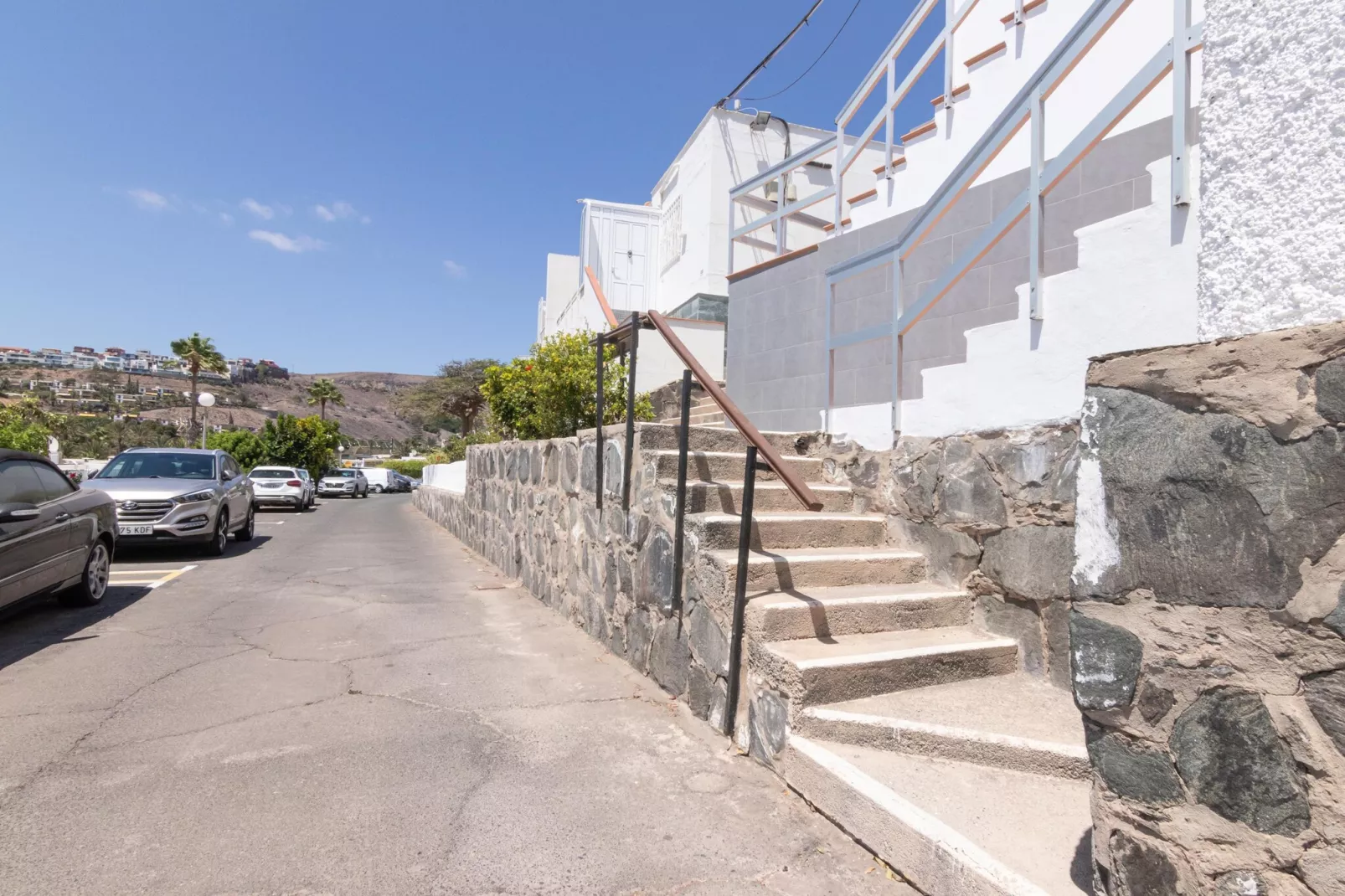 NUEVA SUECIA 523										-Gebieden zomer 1km