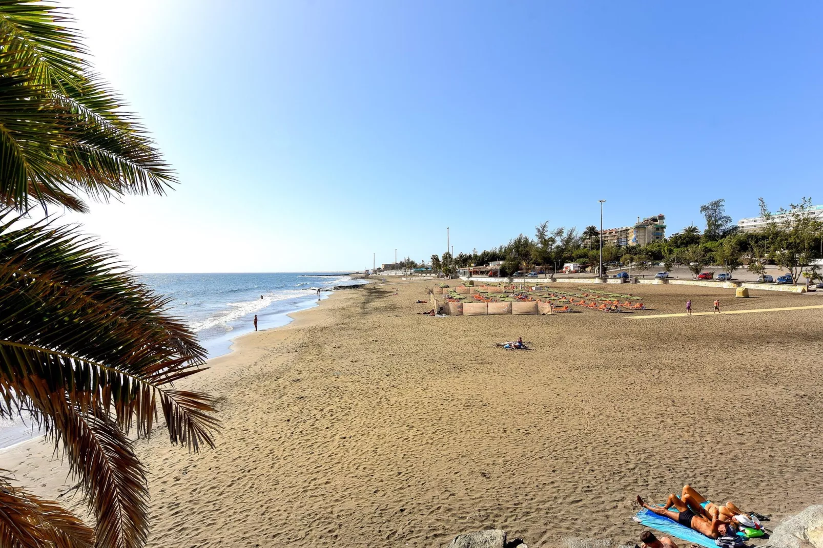 NUEVA SUECIA 523										-Gebieden zomer 5km