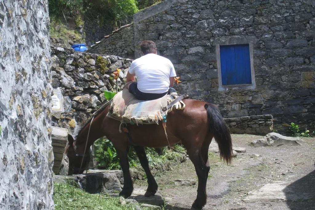 246448 - Niet-getagd