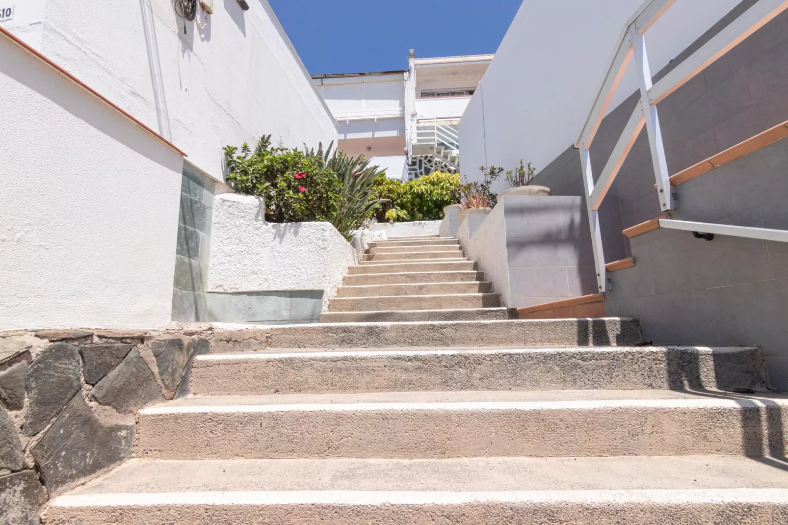 NUEVA SUECIA 523										-Trap