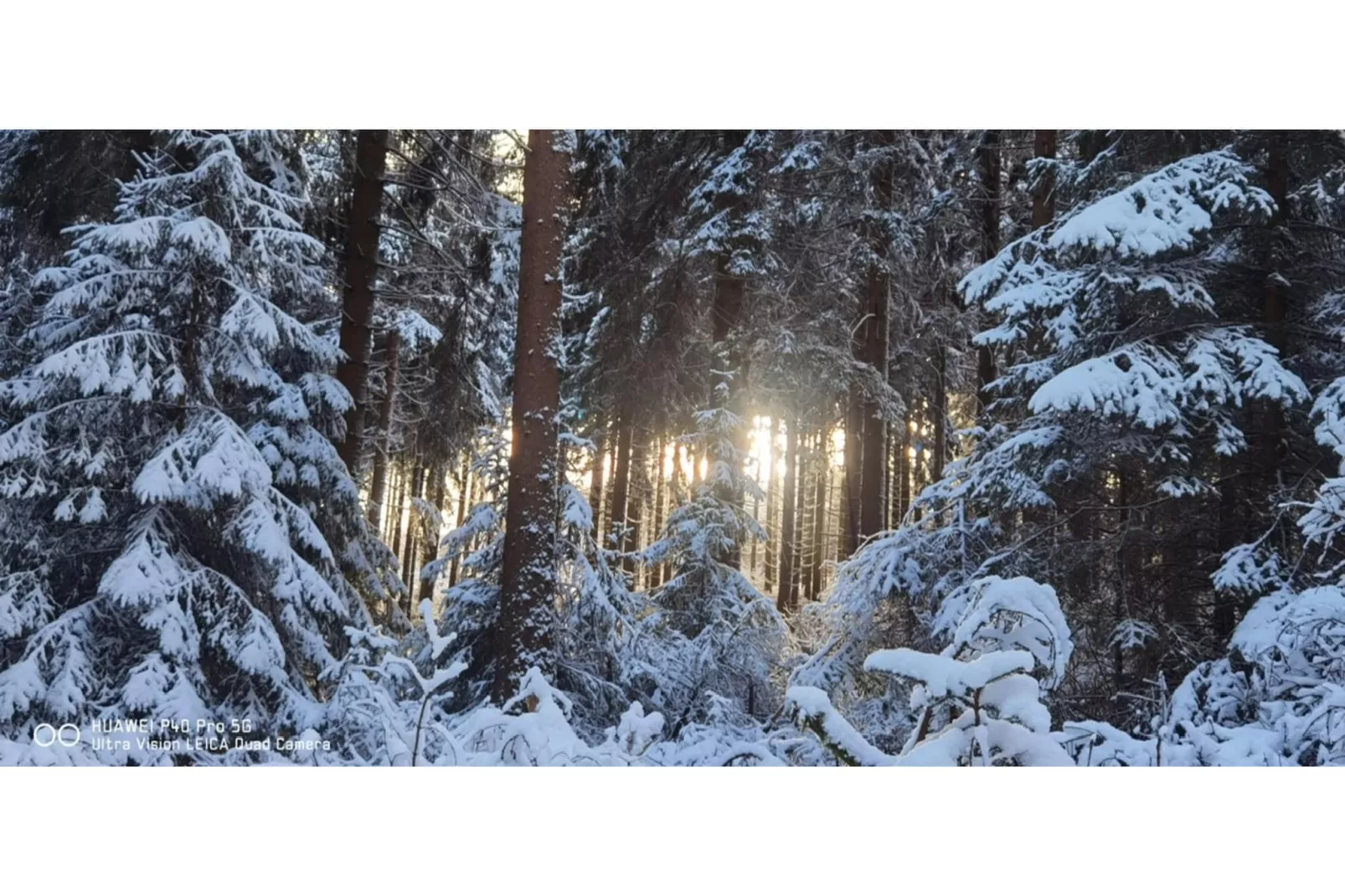 Möhrenbach-Gebied winter 1km