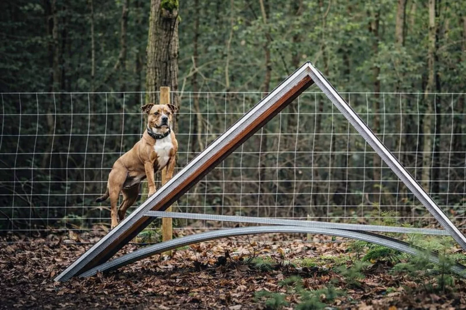 Beach House 2 - Tuinen zomer