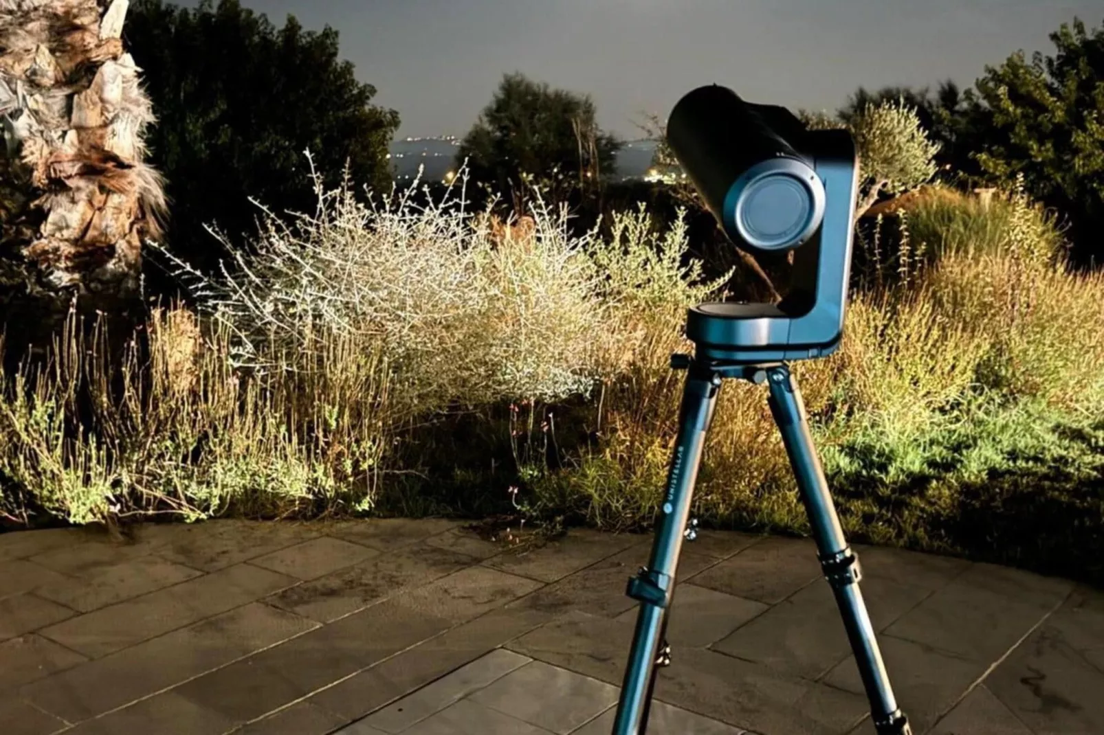 Lavanda - Tuinen zomer