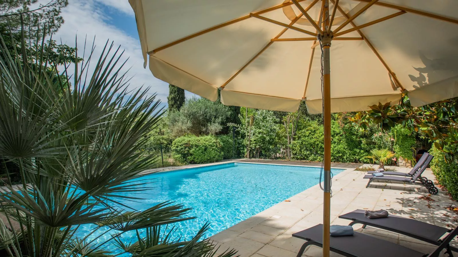 Little butterfly - Zwembad