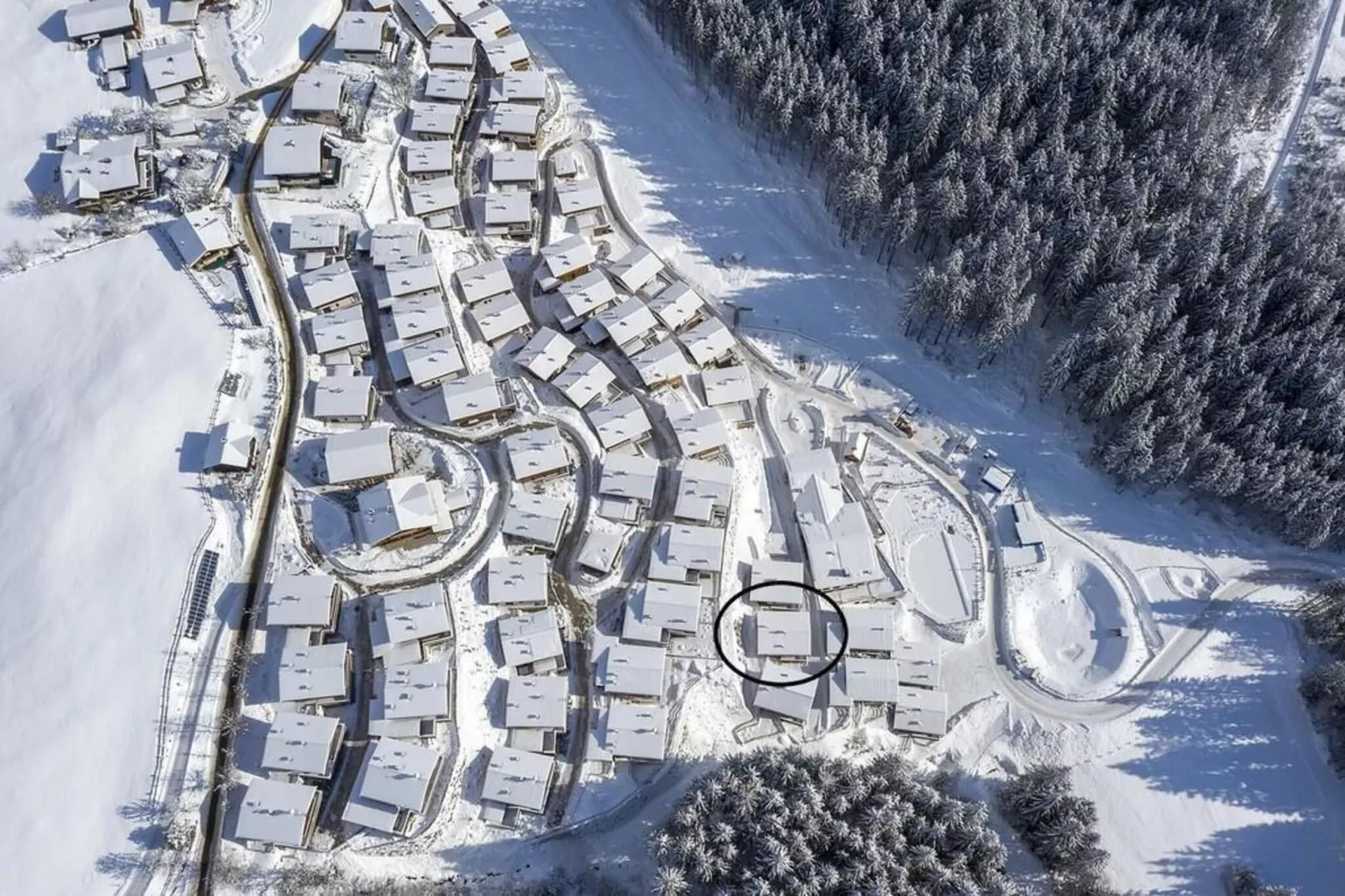 Nationalpark Chalet Schwarzes Hörndl - Gebieden zomer 1km