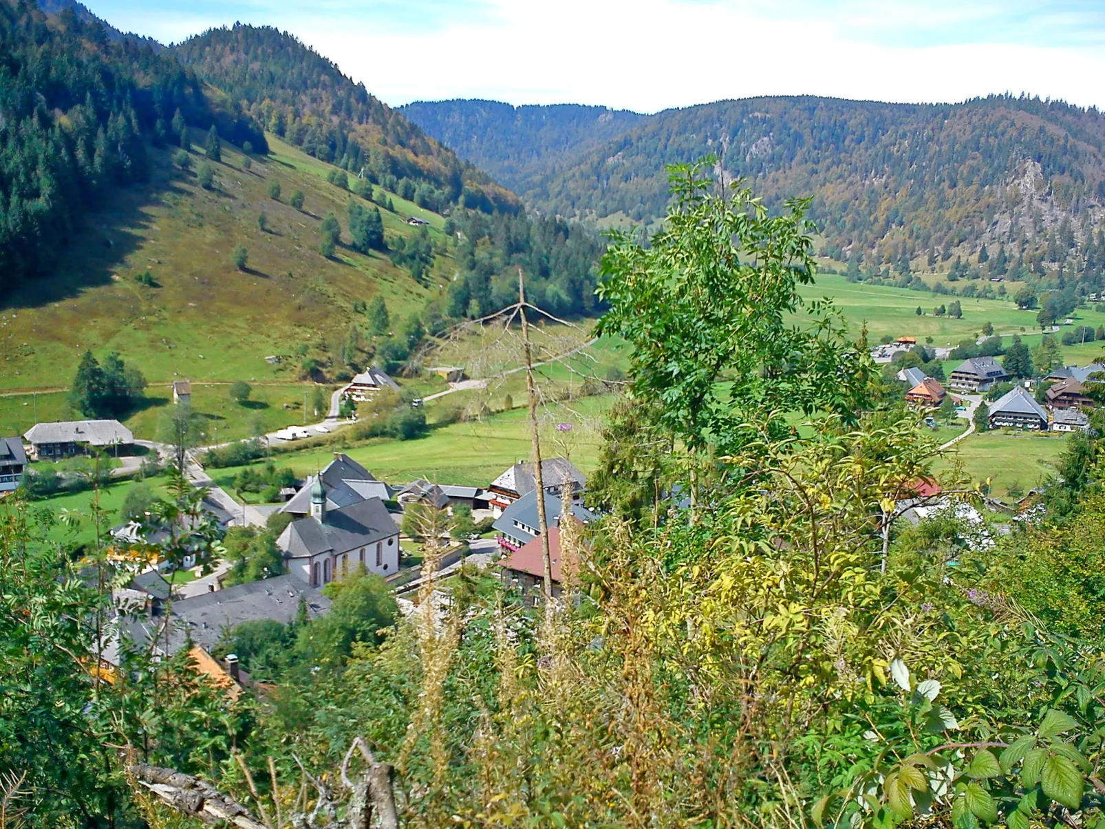 Schwarzwaldhaus St. Blasien, direkt am Bach - Omgeving
