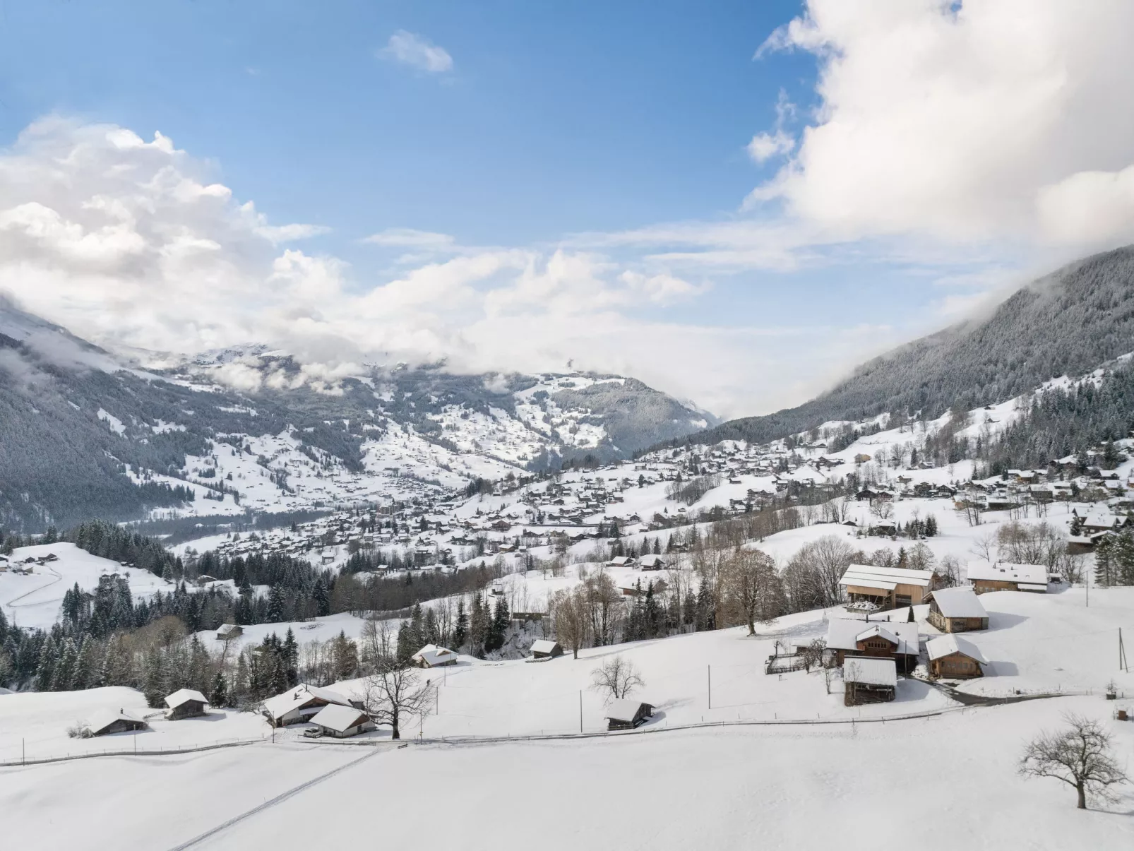 Beim Faulensee 2-Bett Wohnung  1. Stock  West - Omgeving