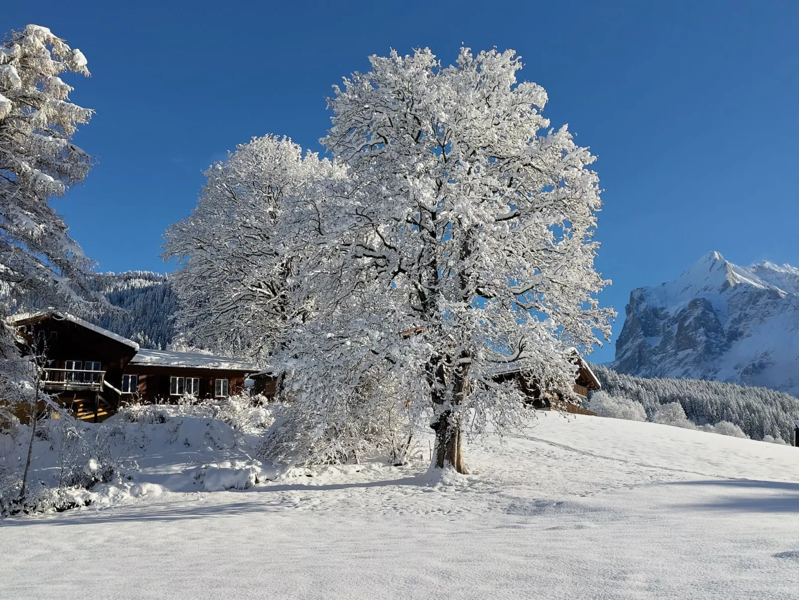 Tournelle 8 Bett Wohnung - Buiten