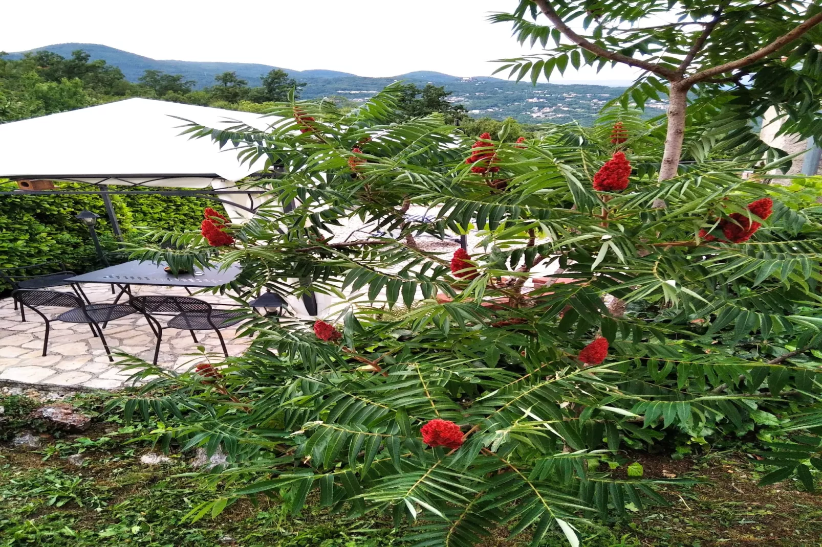 Holiday home Iva - Lovran Dobrec - ca 80 qm für 4 Pers - Buitenlucht