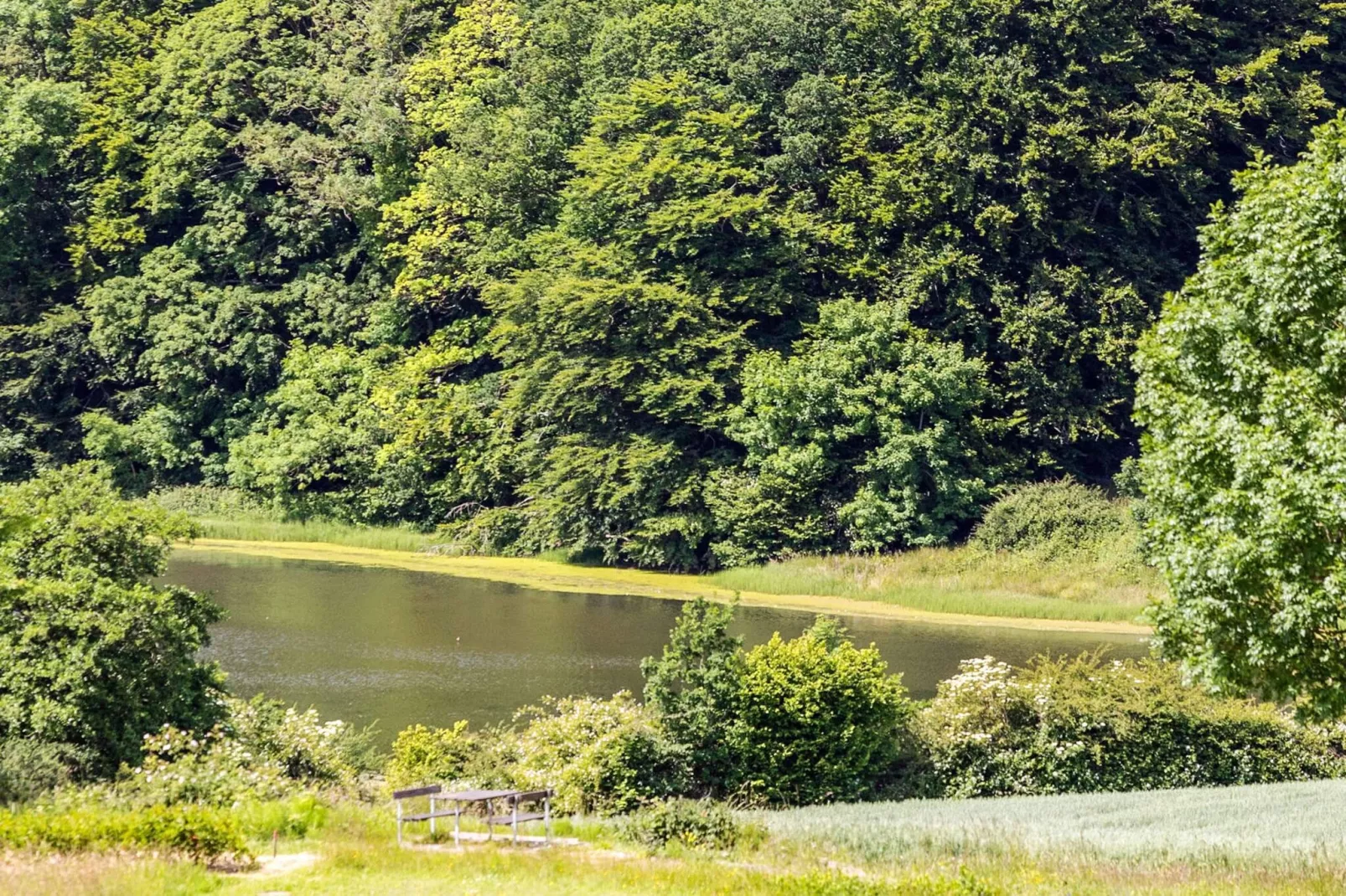 5 sterren vakantie huis in Aabenraa - Buitenlucht