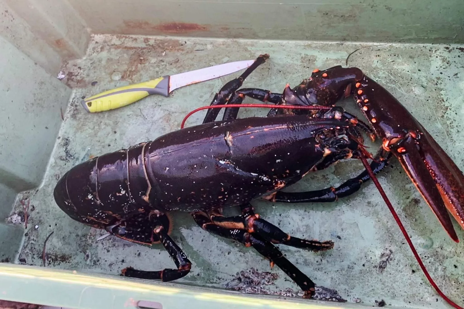 5 Personen vakantie huis in Flatanger - Niet-getagd