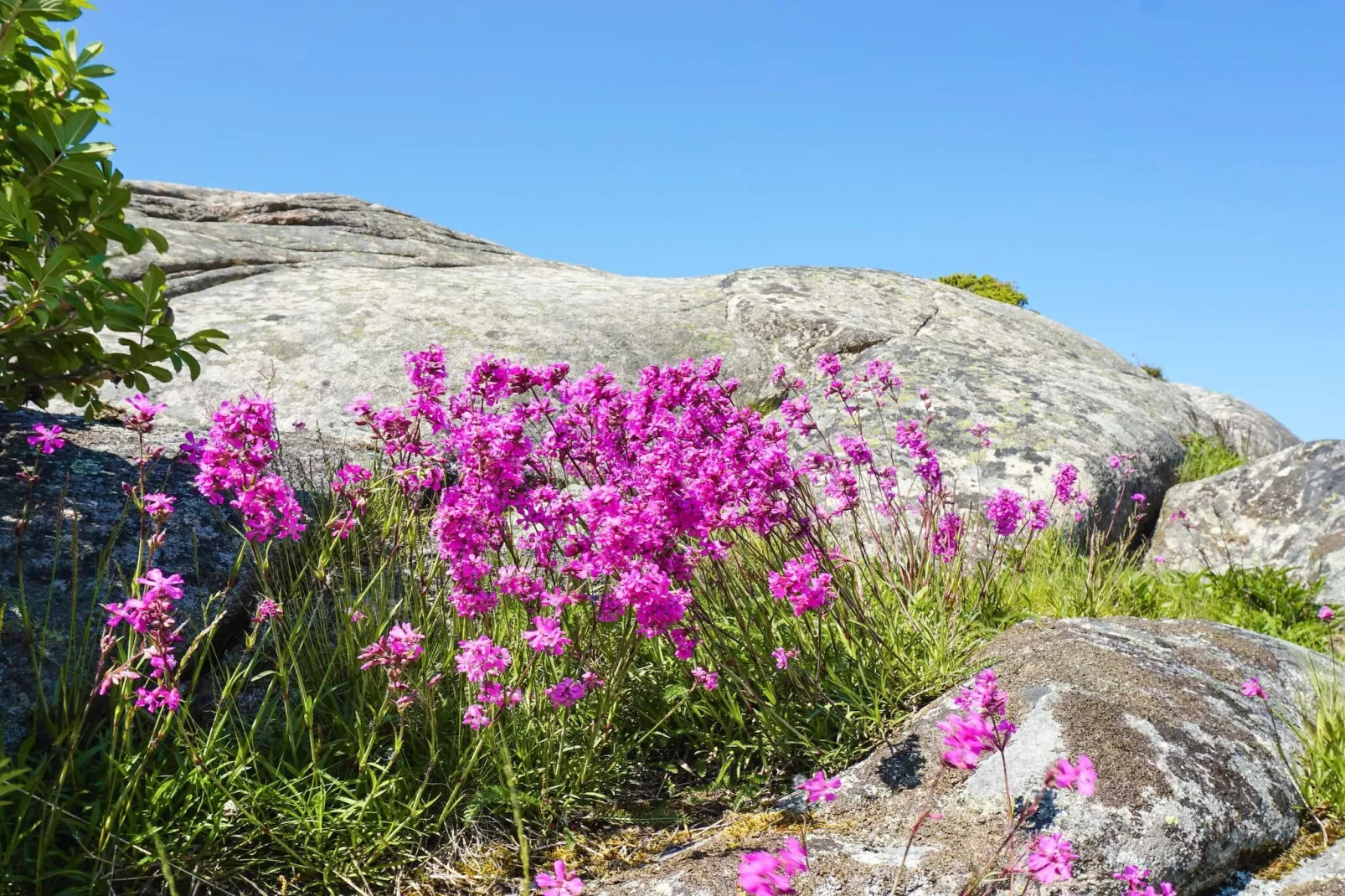 4 Personen vakantie huis in LYSEKIL - Niet-getagd