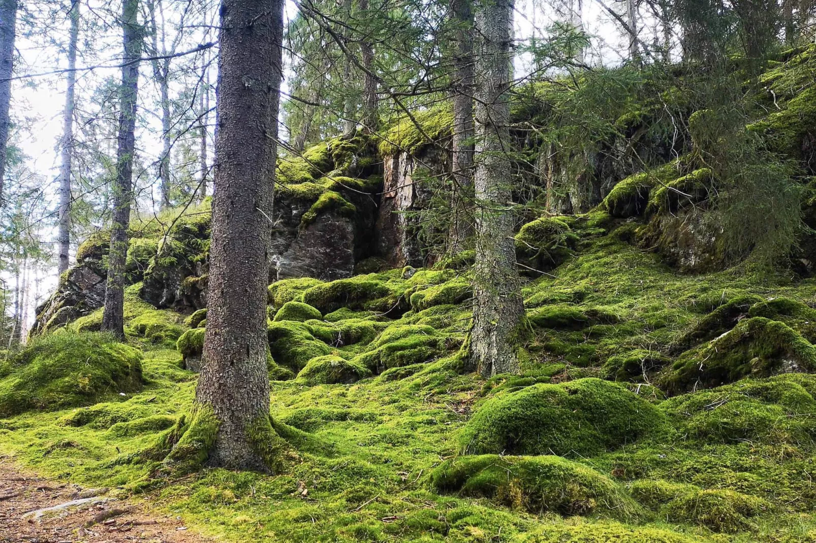 4 Personen vakantie huis in HÄLLEVADSHOLM - Niet-getagd