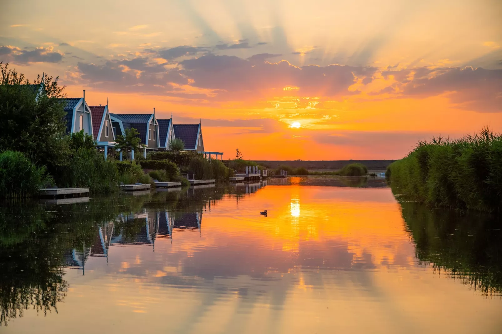 Resort Poort van Amsterdam 17-Gebieden zomer 1km