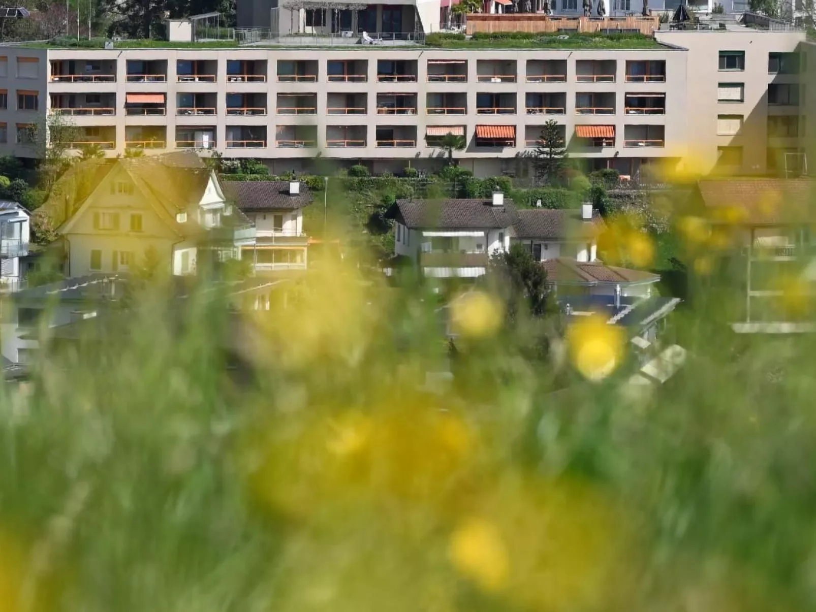 Appartement Alpenblick / C3