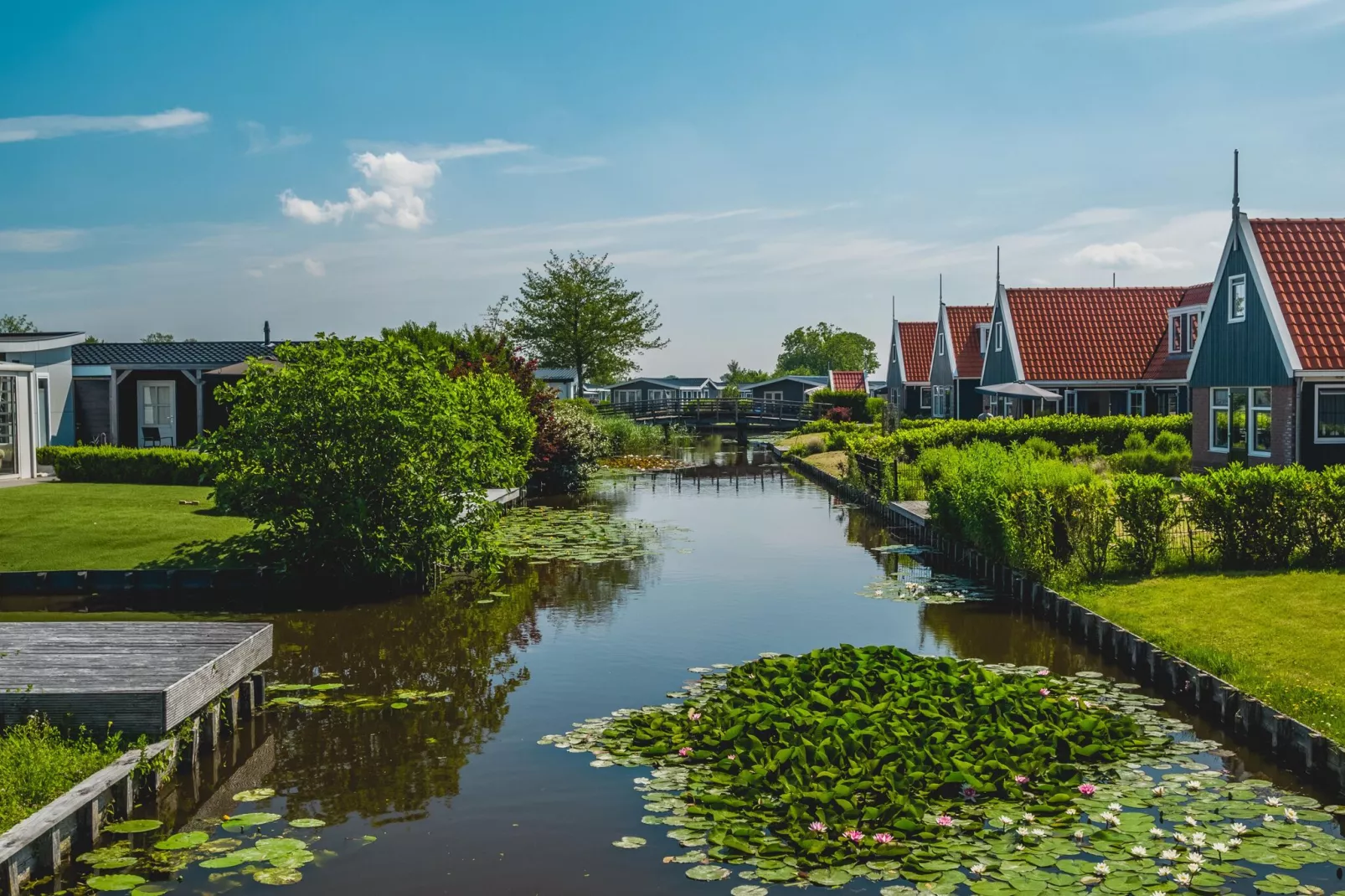 Resort de Rijp 26-Gebieden zomer 1km