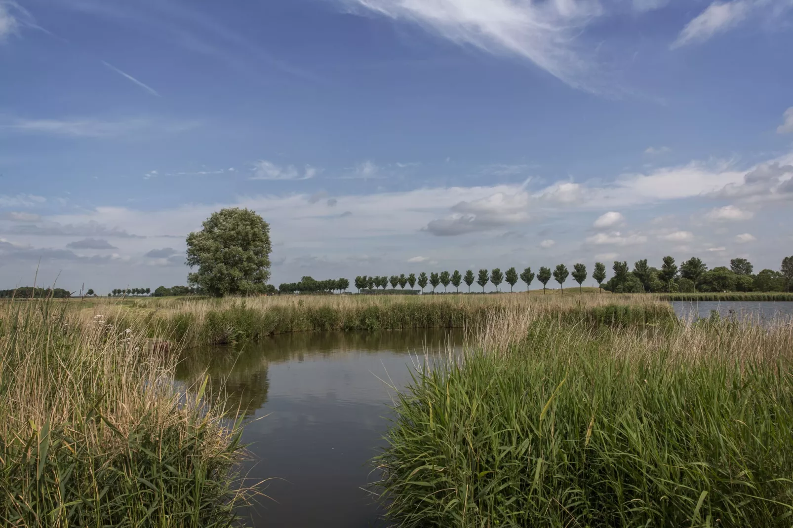 Resort de Rijp 26-Gebieden zomer 5km