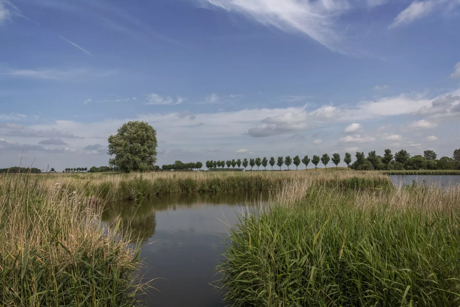 Resort de Rijp 28-Gebieden zomer 5km