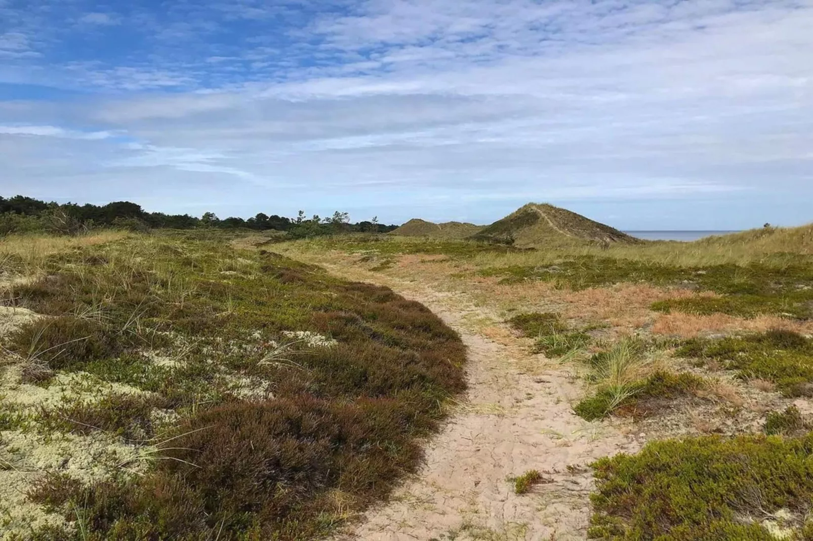 4 persoons vakantie huis in Læsø