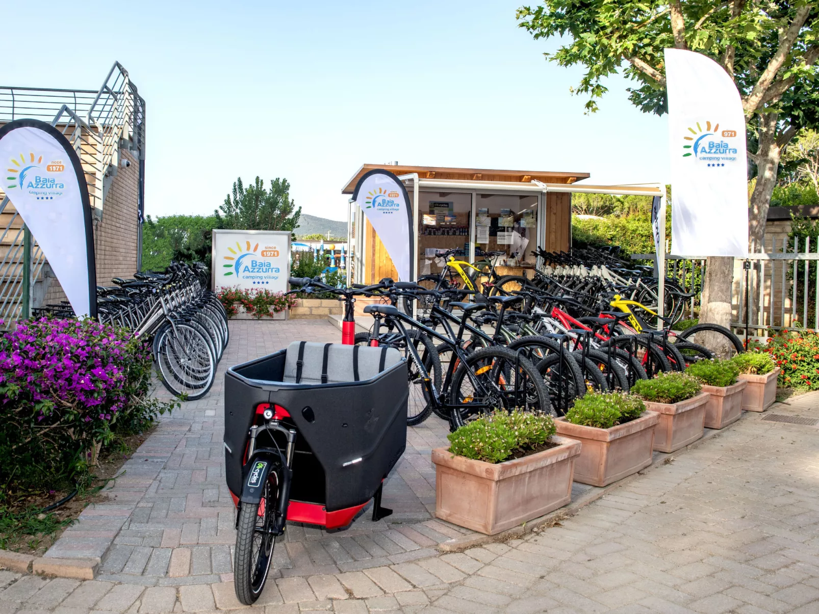 Bungalow Trendy - Binnen