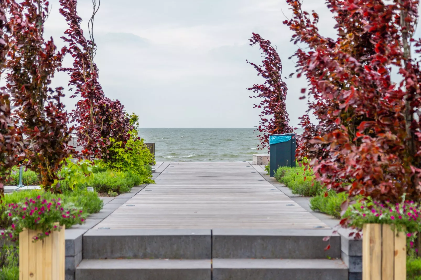 Resort Markermeer 6-Gebieden zomer 1km