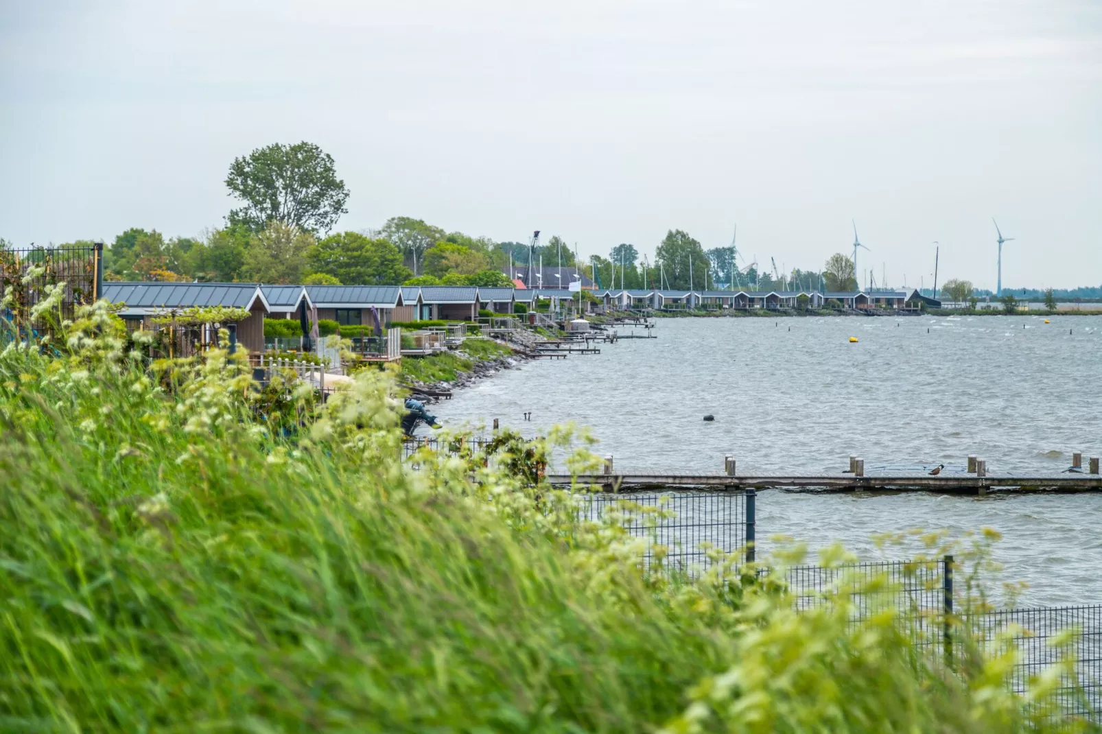 Resort Markermeer 6-Gebieden zomer 1km