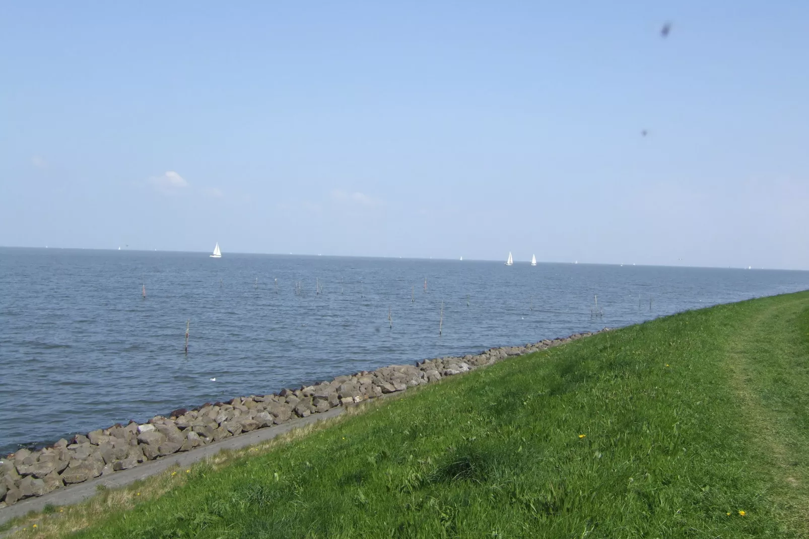 Villavakantiepark IJsselhof 11-Gebieden zomer 1km