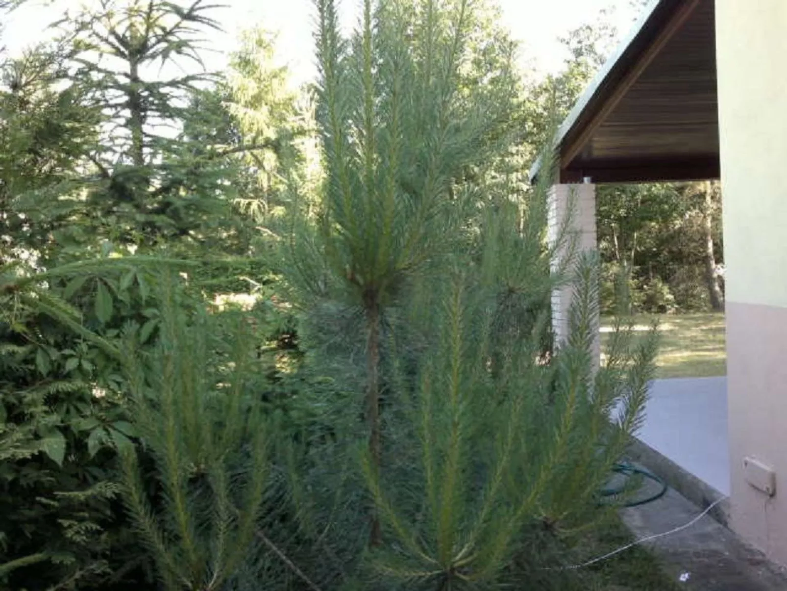 Mit eingezäuntem Grundstück am Wasser
