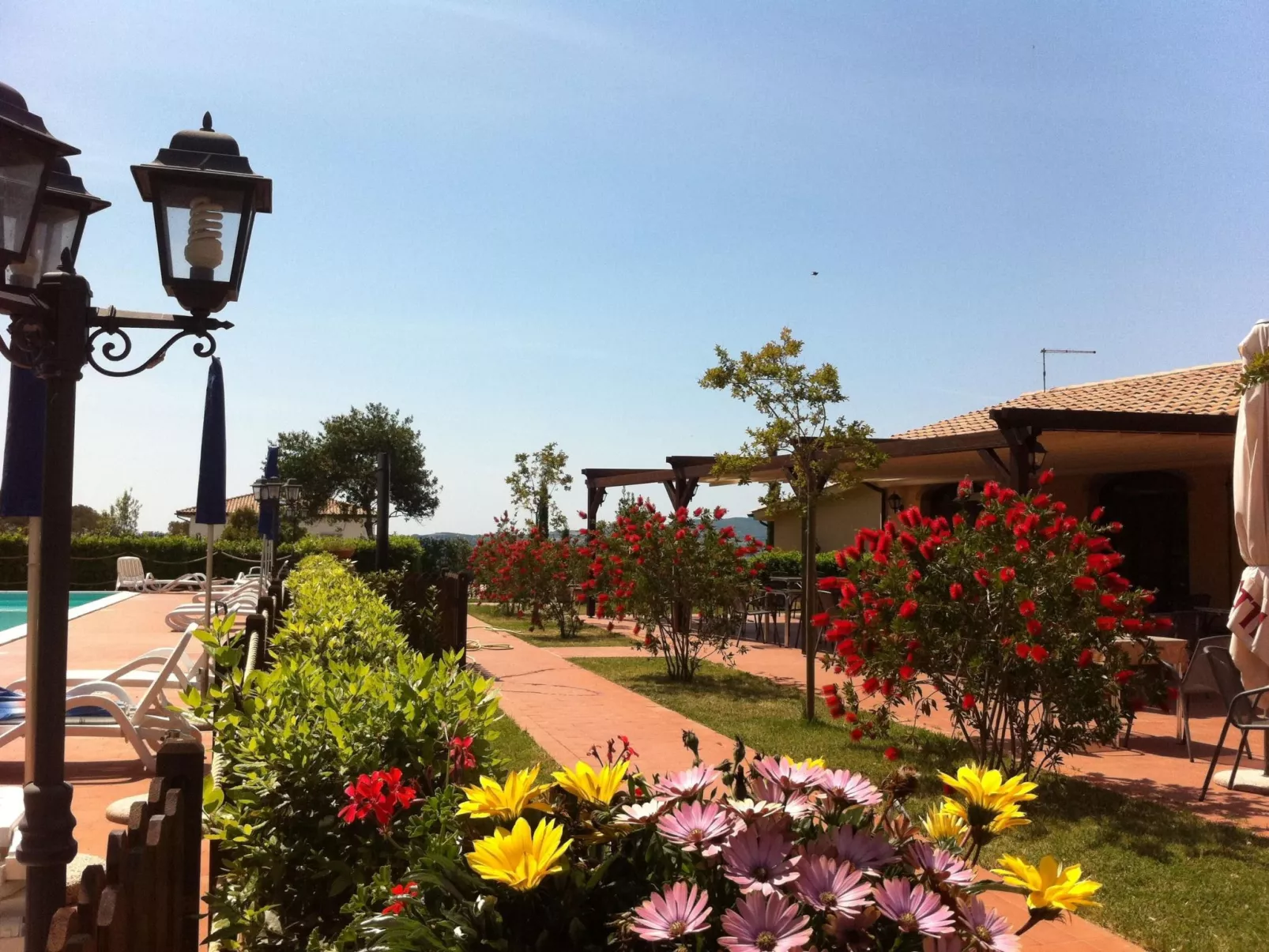 Pieve pomaia trilo flach